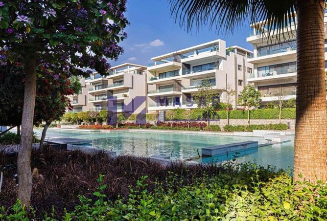 8354683 - Property Image 3