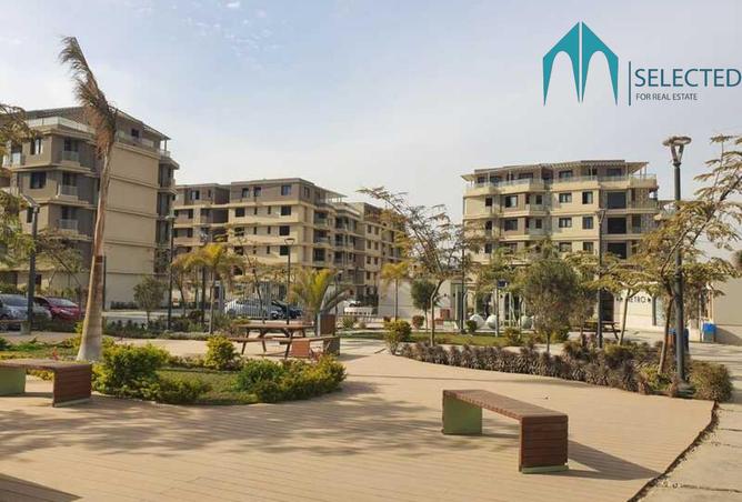 8034571 - Property Image 3