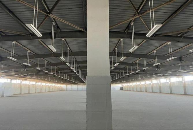 7932572 - Property Image 3