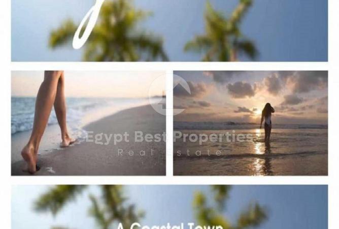 8058040 - صورة العقار 3