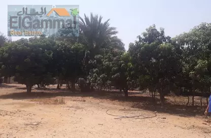 Land - Studio for sale in Gamaiet Ahmed Orabi - Obour City - Qalyubia