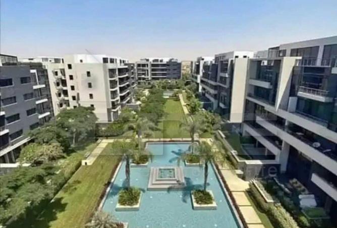 8000223 - Property Image 3