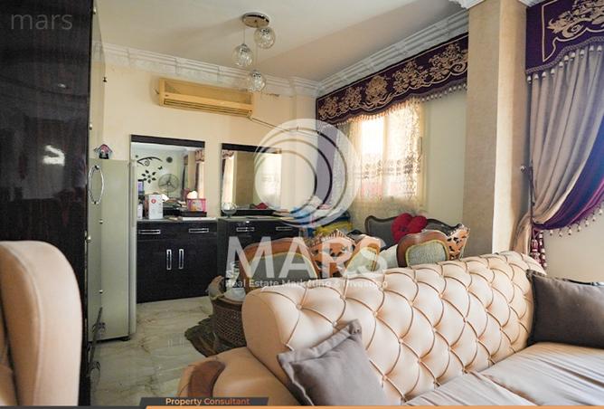 8020057 - Property Image 3