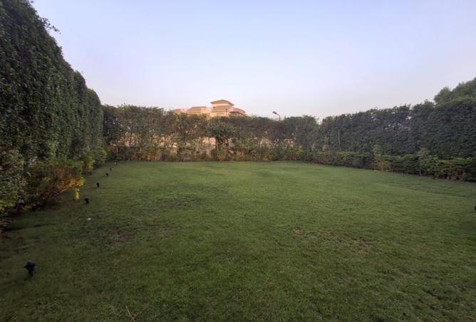 8003054 - صورة العقار 2