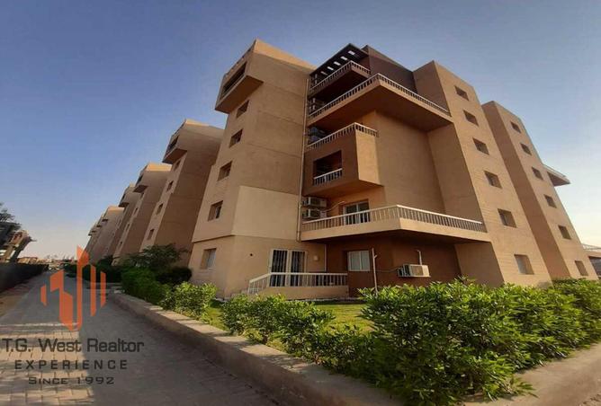 7956060 - صورة العقار 3