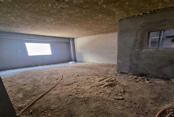 7979658 - Property Image 2