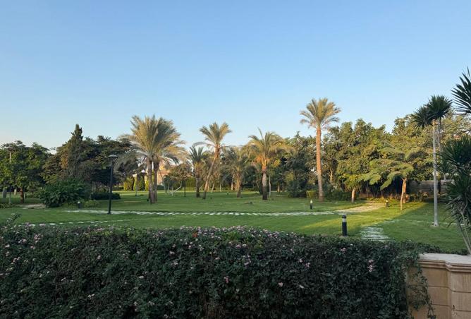 8386630 - صورة العقار 2