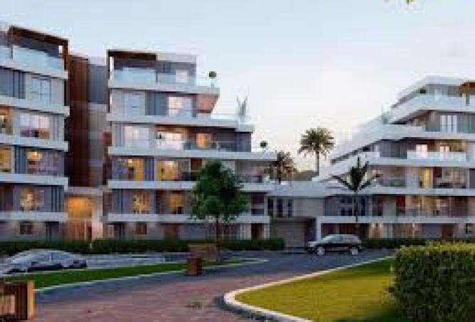 8137598 - Property Image 2