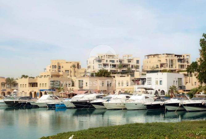 7976379 - صورة العقار 3