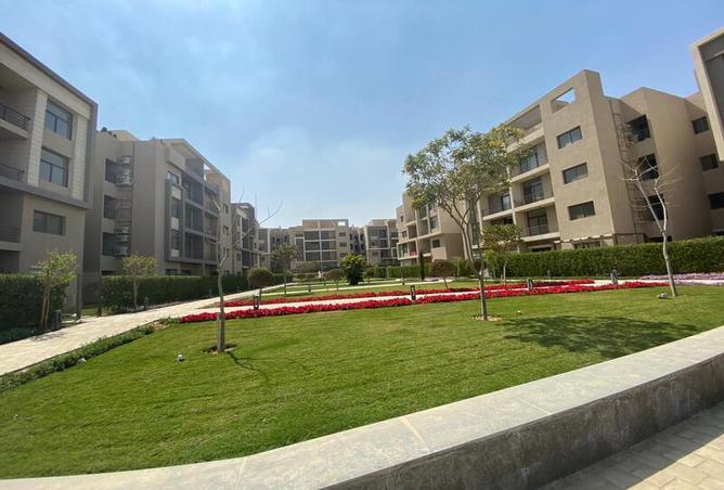 7970135 - صورة العقار 2