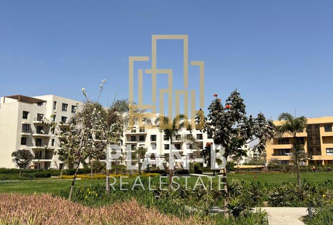 8538820 - الصورة الرئيسية للعقار