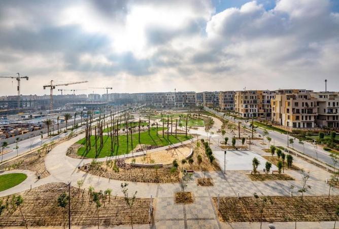 8328445 - صورة العقار 2