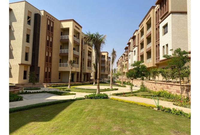 8009708 - صورة العقار 2