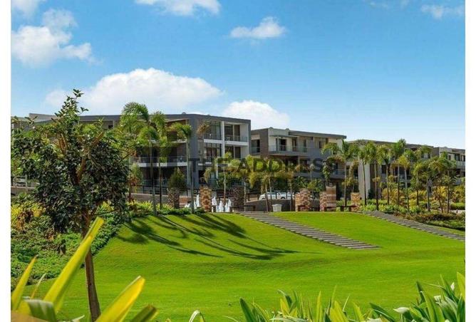 6900834 - صورة العقار 3