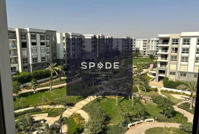 8473031 - Property Image 3