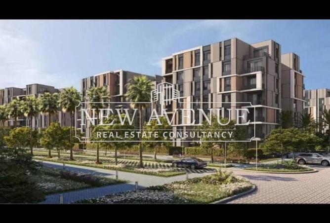 8033239 - Property Image 3