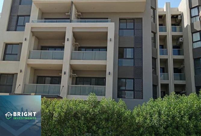 8116071 - Property Image 3