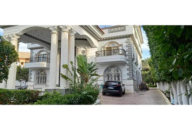 8139379 - Property Image 3