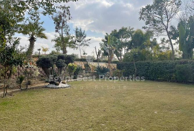 8162977 - صورة العقار 2