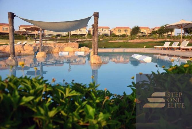 8447349 - Property Image 3