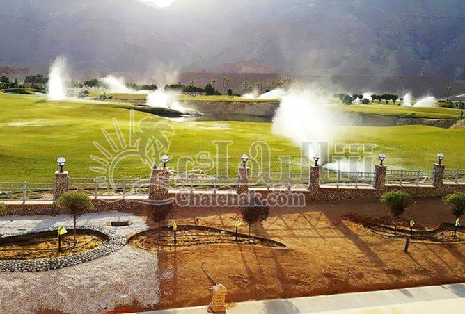 8167248 - Property Image 2