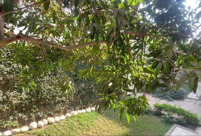 8513403 - Property Image 3