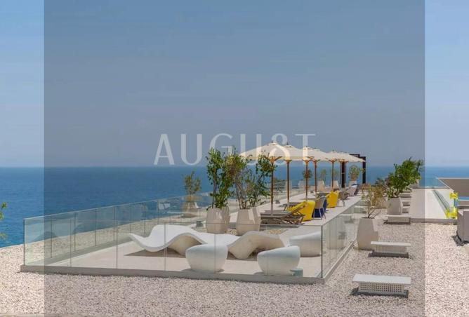 8077376 - Property Image 3
