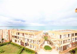 Apartment - 1 bedroom - 1 bathroom for للبيع in Corniche Al Maamoura - Al Maamoura - Hay Than El Montazah - Alexandria