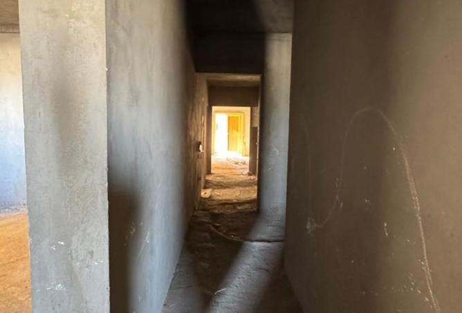 8132380 - Property Image 3