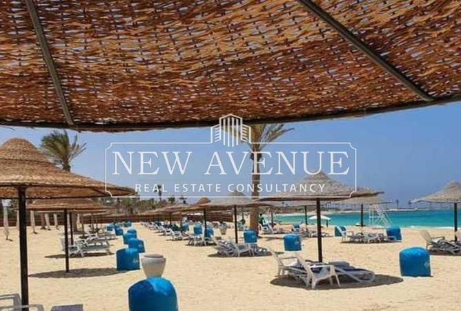 8236450 - Property Image 2