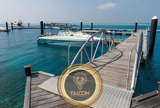 8472154 - صورة العقار 2