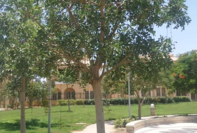 8293508 - صورة العقار 2