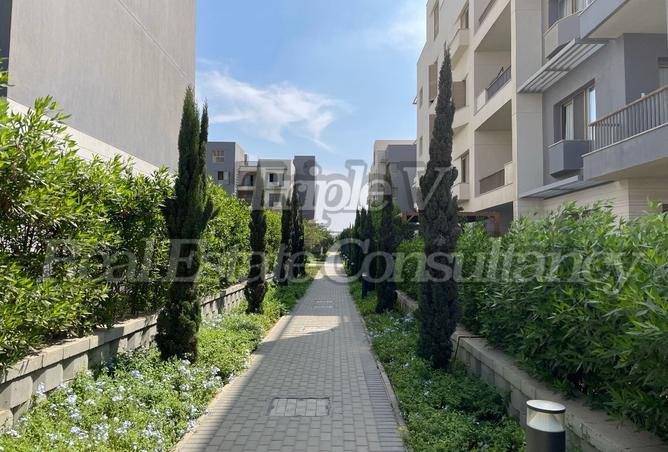 8177352 - صورة العقار 3