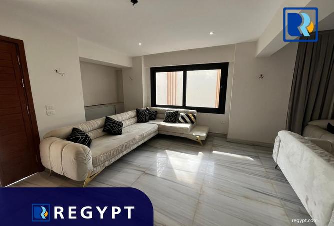 8517445 - Property Image 3