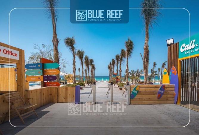 8409785 - Property Image 3