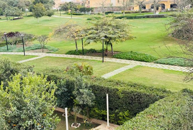 8000517 - صورة العقار 3