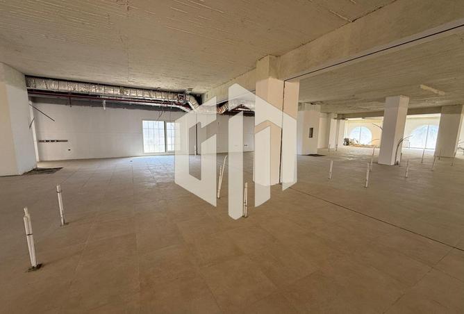 8302303 - صورة العقار 3