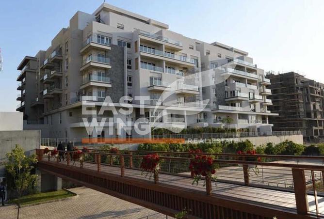 8431174 - Property Image 2