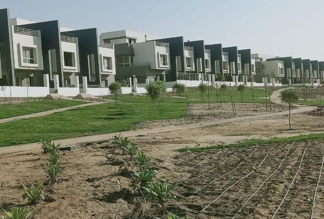 7990080 - Property Image 3