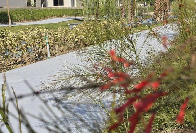 8245543 - Property Image 3