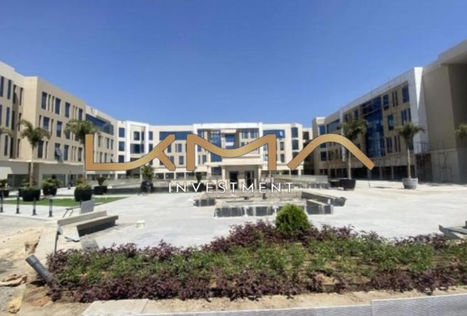 8424492 - Property Image 3