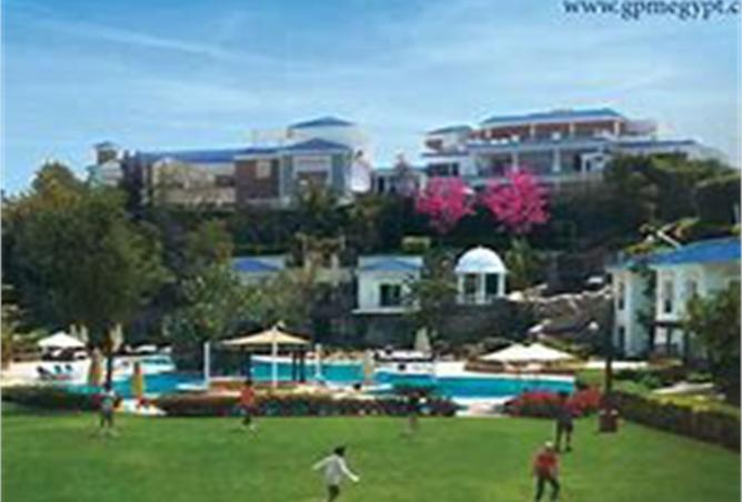 8563765 - صورة العقار 2