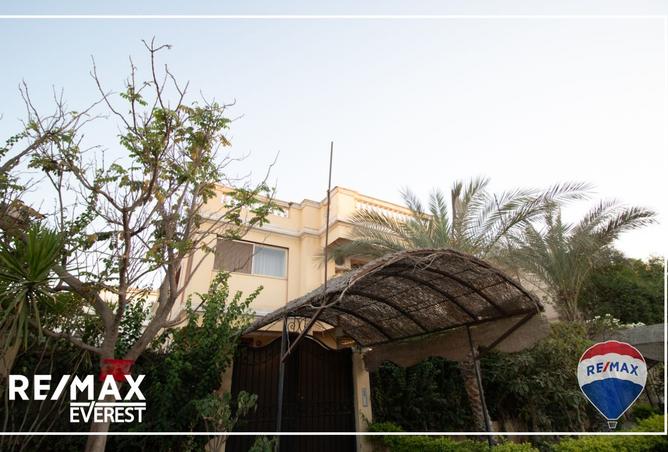8100164 - صورة العقار 2