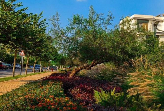 8231467 - الصورة الرئيسية للعقار