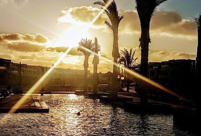 7908529 - صورة العقار 3