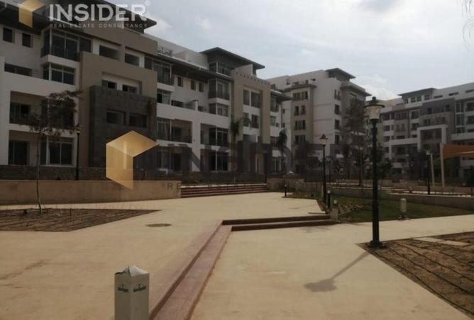 8168401 - Property Image 3