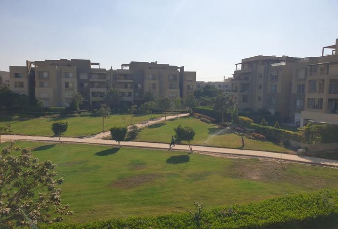 8372574 - صورة العقار 3