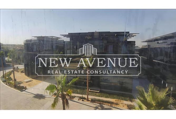 8108258 - Property Image 3