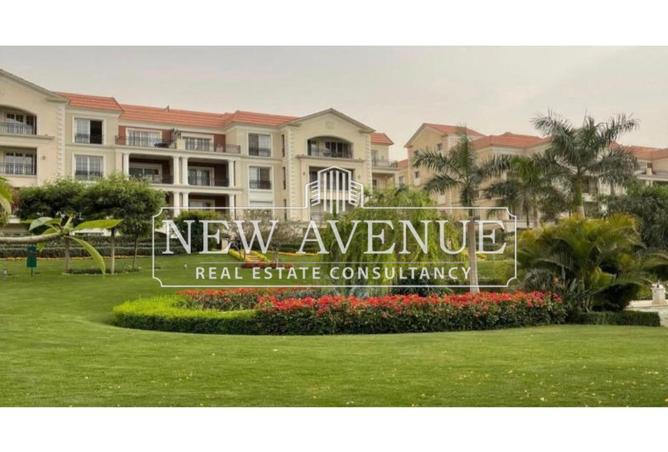8112683 - Property Image 3