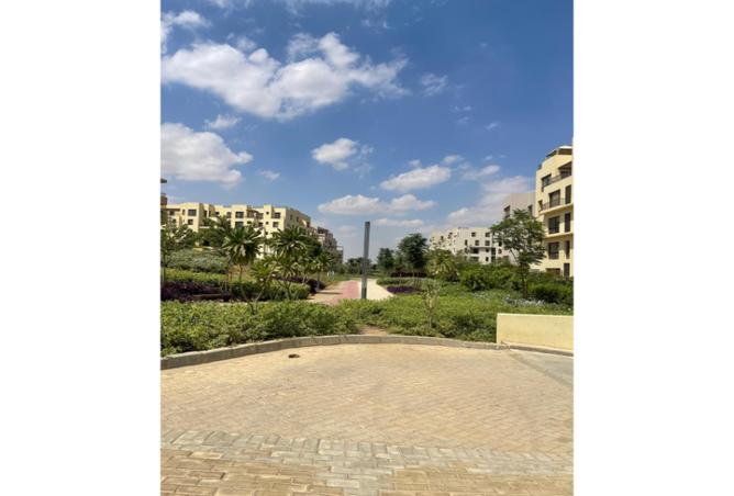 7967050 - صورة العقار 2